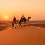 A Morocco desert tour camel trek at sunset on the orange sand dunes of Erg Chebbi near Merzouga, featuring a Berber guide and a desert camp in the Sahara.