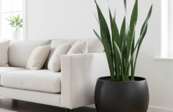 Enhance-Your-Space-with-Large-Round-Planters