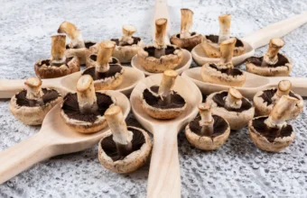 pharmaceutical-grade-mushroom-spores-research