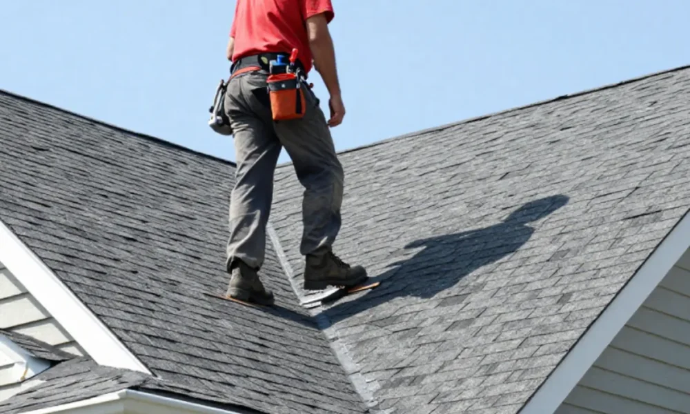 roof-maintenance-guide