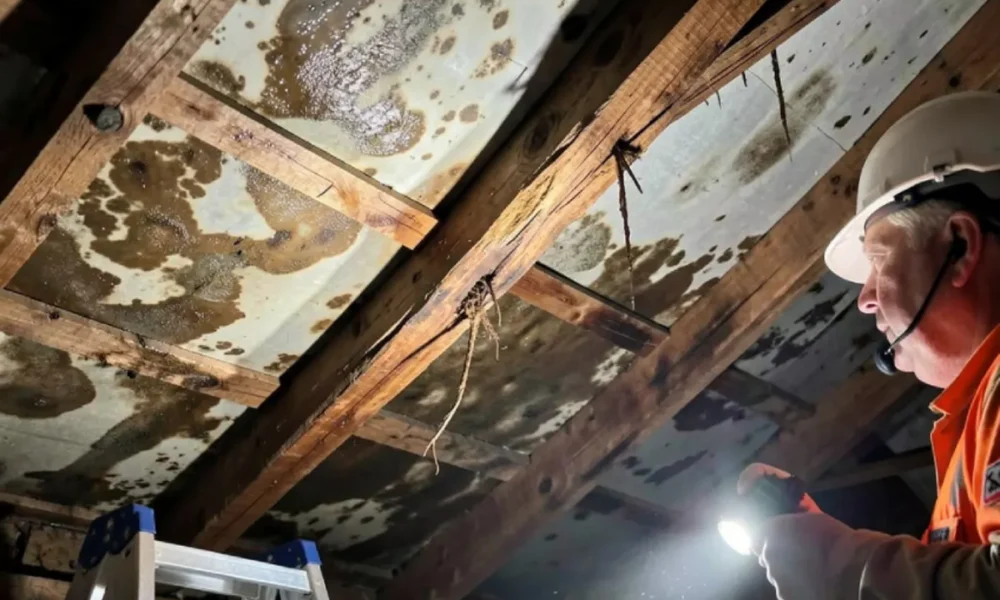 home-inspection-red-flags-before-buying